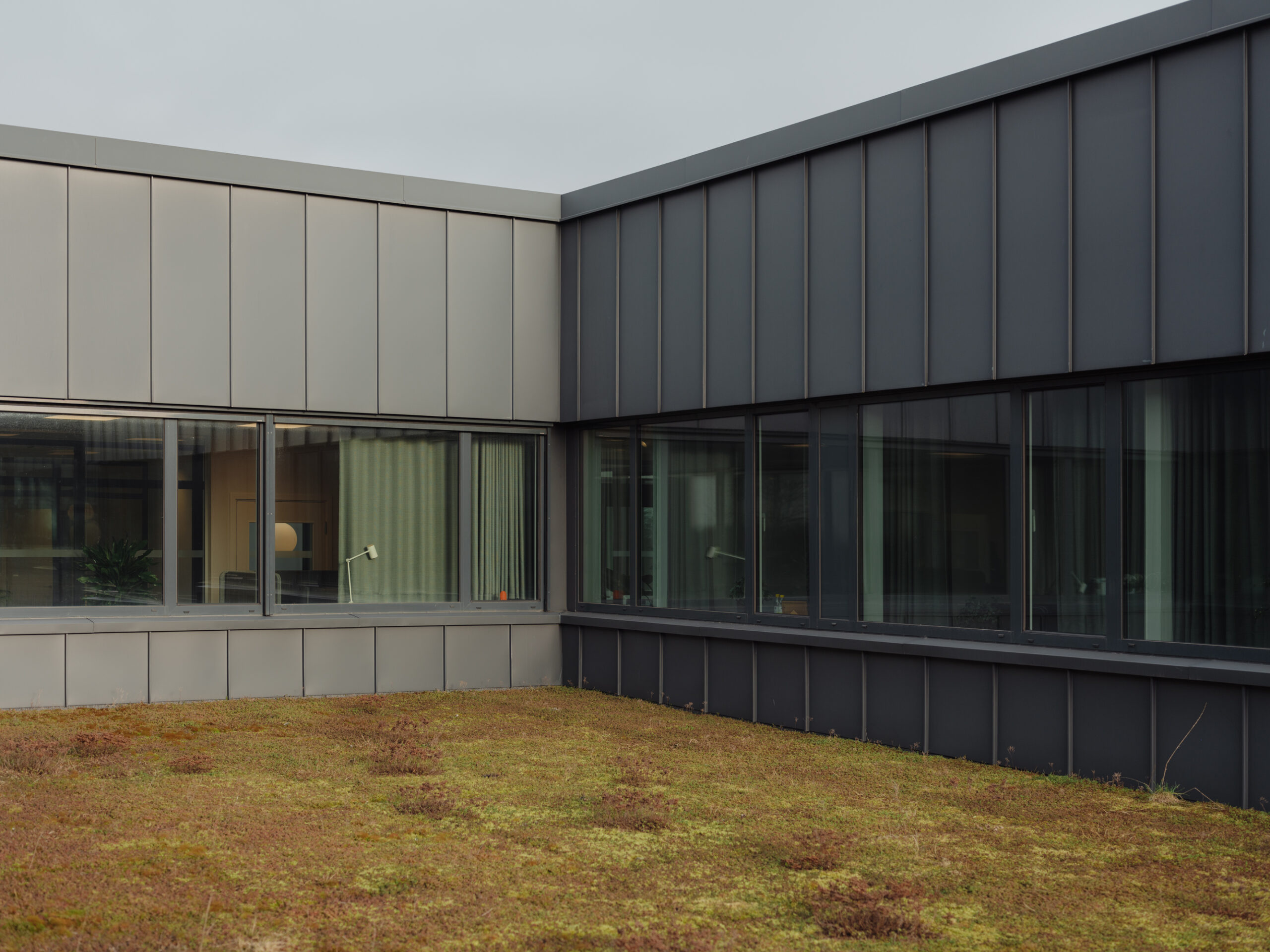 Advancing digital innovation with a responsible approach